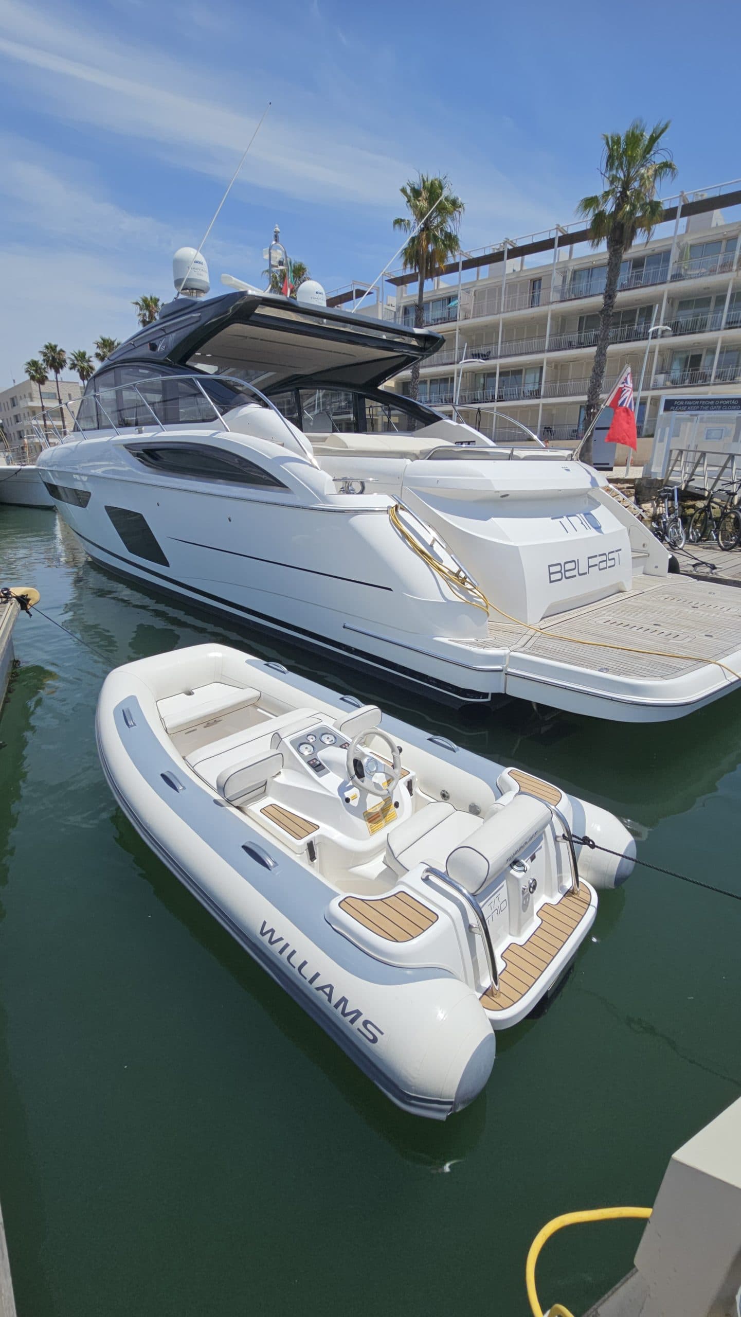 Williams TurboJet 325 2